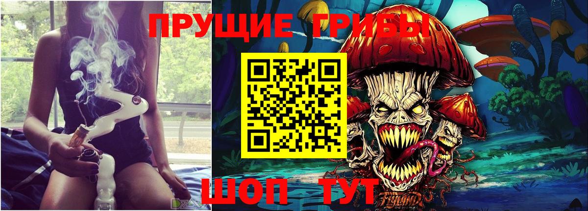Галлюциногенные грибы Лесозаводск